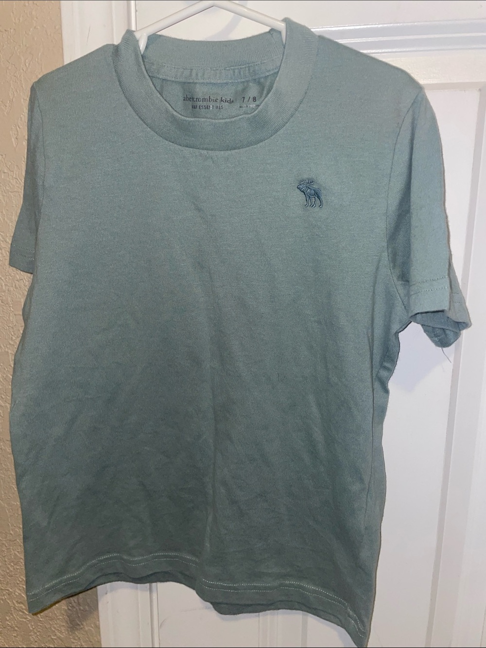 Abercrombie & Fitch Men's Light Sage Green Crew Tee